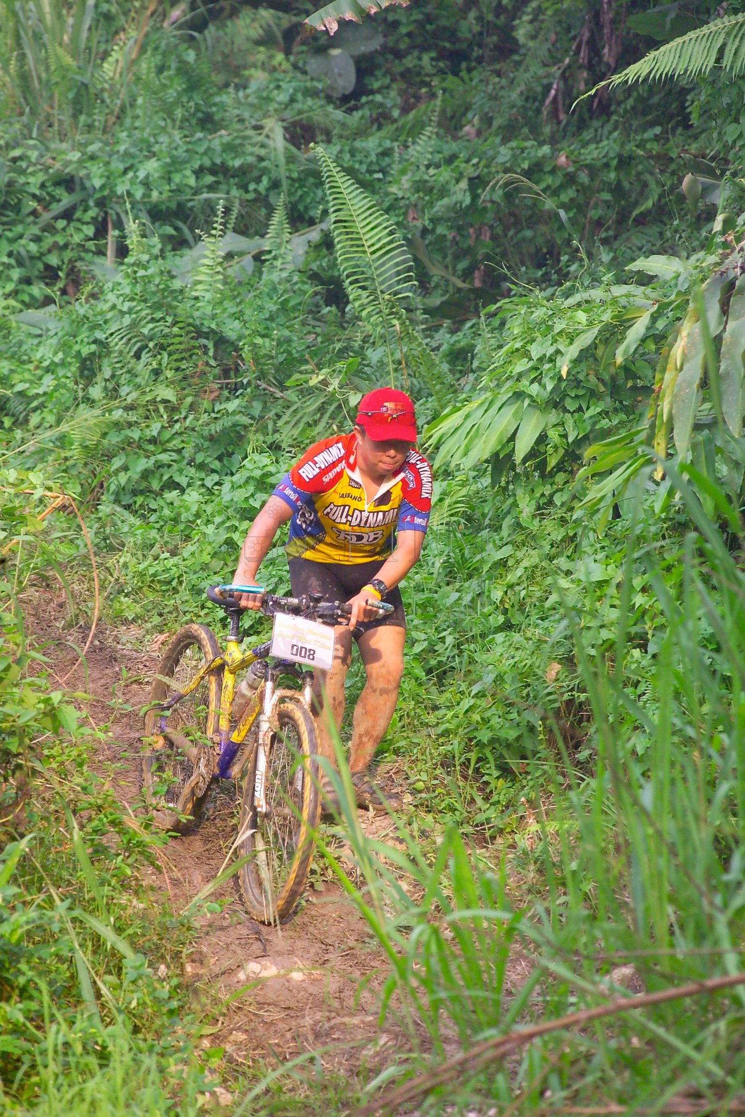 PTPM 06 31 kilau D9X44254